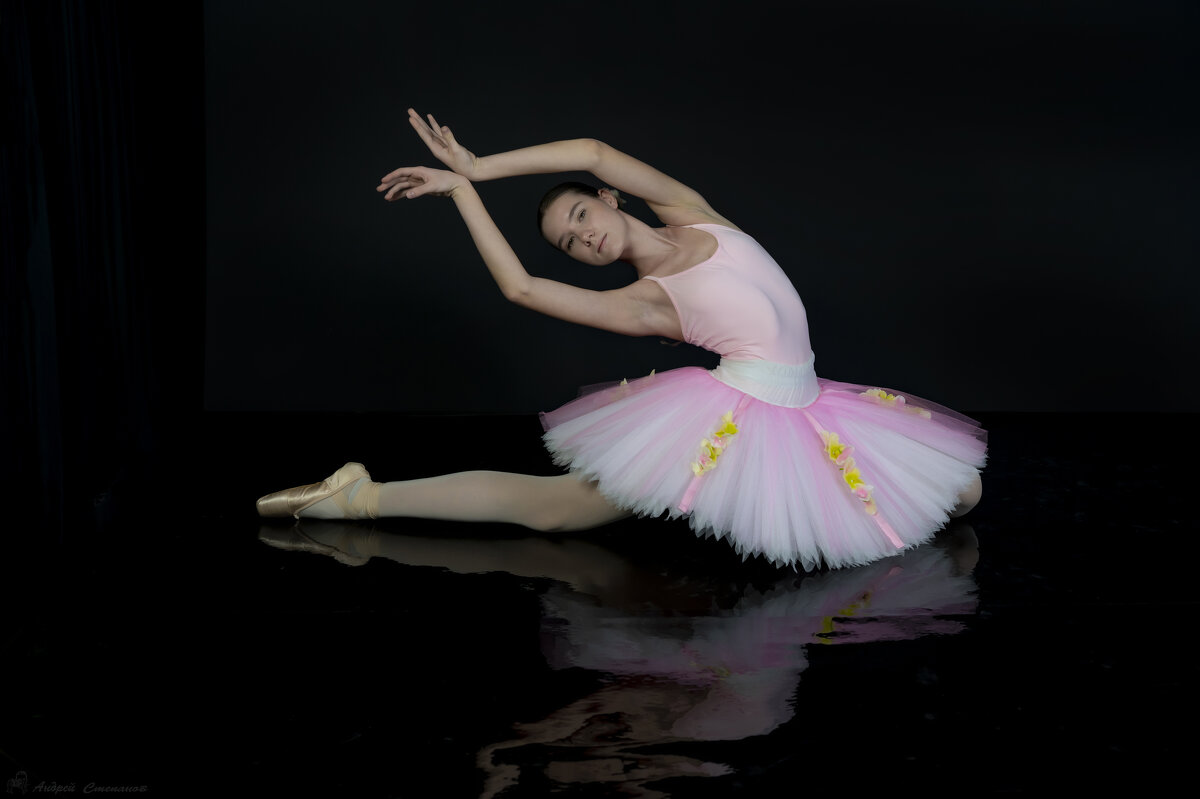 Балет балет балет... - Андрей + Ирина Степановы