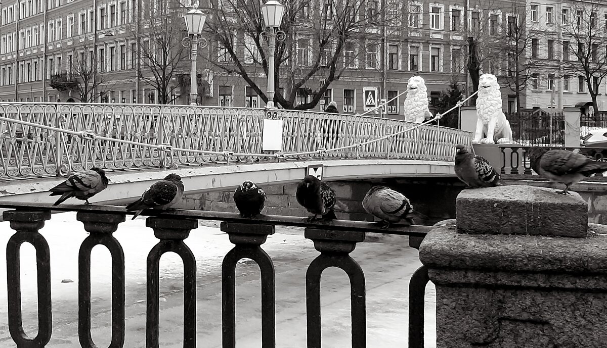 У Львиного моста - Наталья Герасимова У Львиного моста - Наталья Герасимова