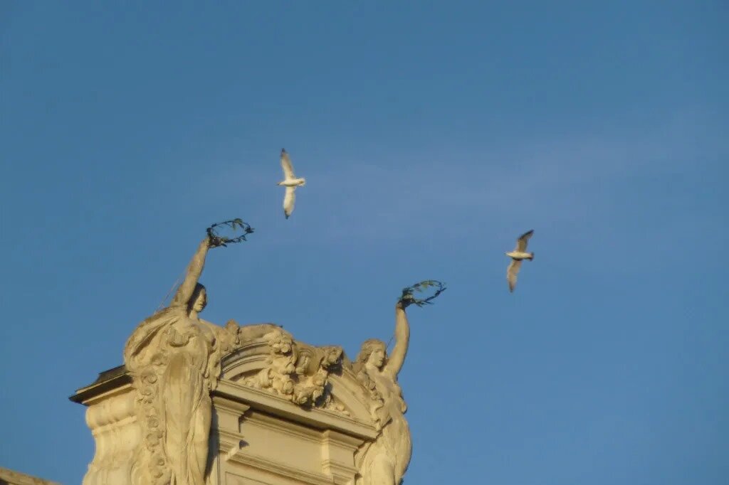 Каждая чайка знает свой венок - Надежда 