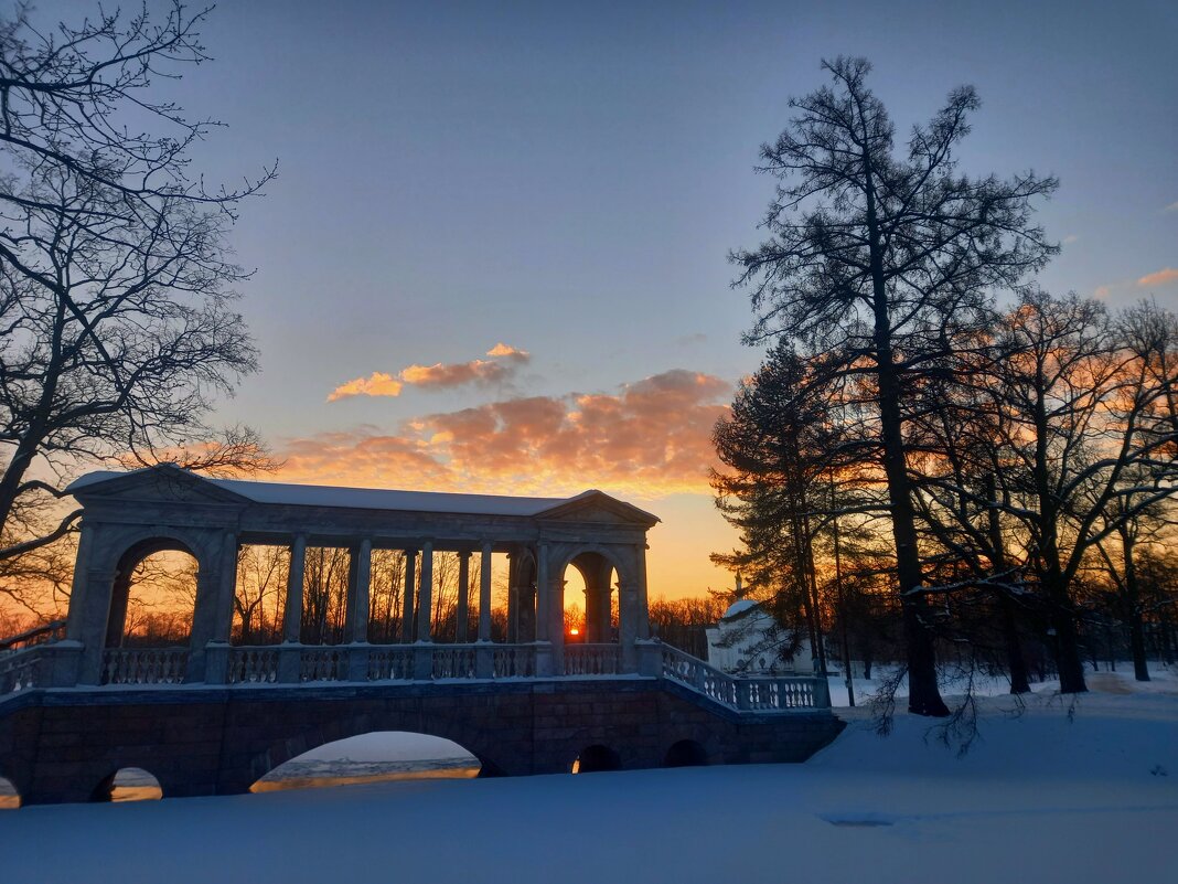 Рассвет - Сапсан 