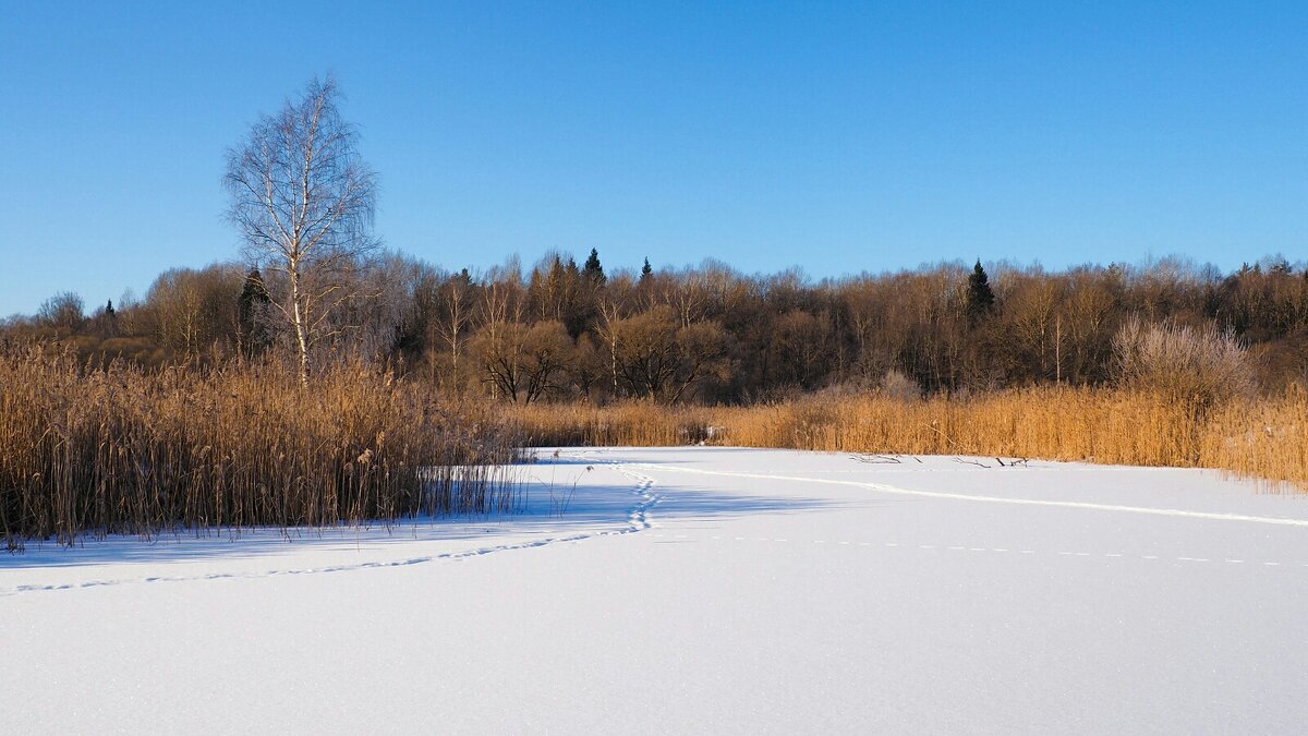 Зима ещё продолжается (репортаж из поездок по области). - Милешкин Владимир Алексеевич Зима ещё продолжается (репортаж из поездок по области). - Милешкин Владимир Алексеевич