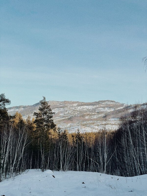 Февраль - Георгиевич 