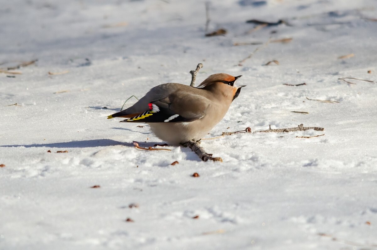 Когда пить хочется. - Виктор Иванович Чернюк Когда пить хочется. - Виктор Иванович Чернюк