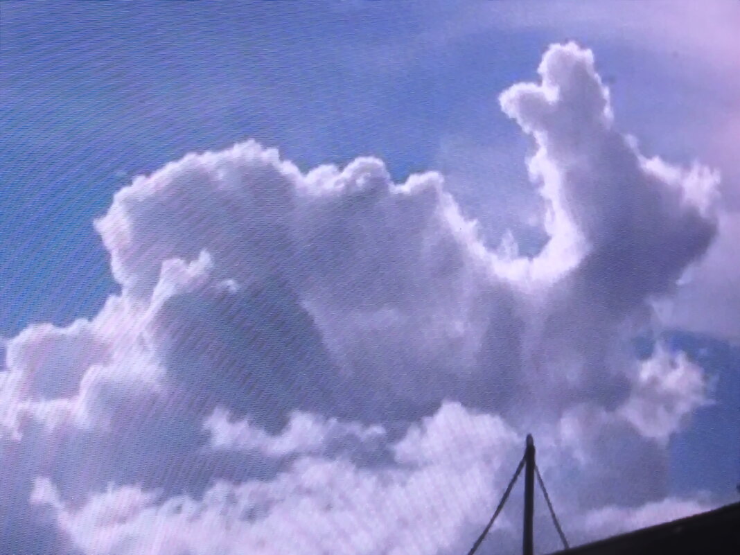 Что только не увидишь в небе - Людмила Смородинская Что только не увидишь в небе - Людмила Смородинская