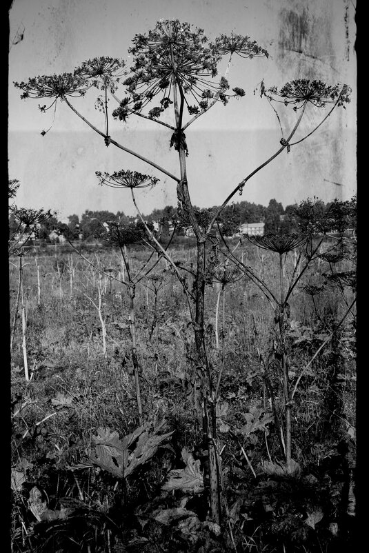 Название отсутствует - Денис Безногов