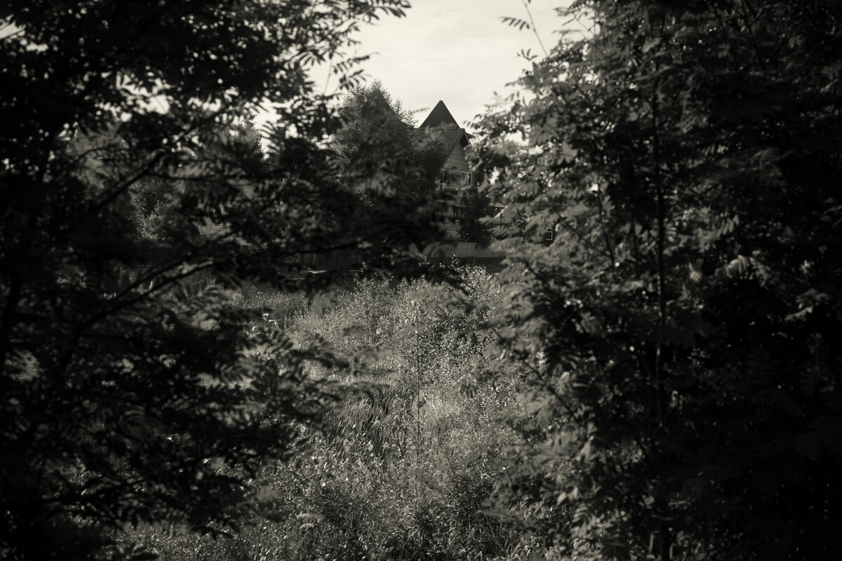 Название отсутствует - Денис Безногов Название отсутствует - Денис Безногов