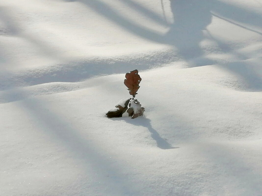 ВСЕМ ВЕТРАМ НАЗЛО - Юрий Вовк