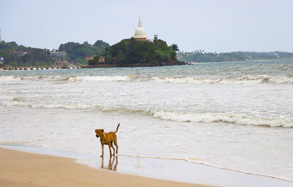 Остров в океане - Галина Ильясова Остров в океане - Галина Ильясова