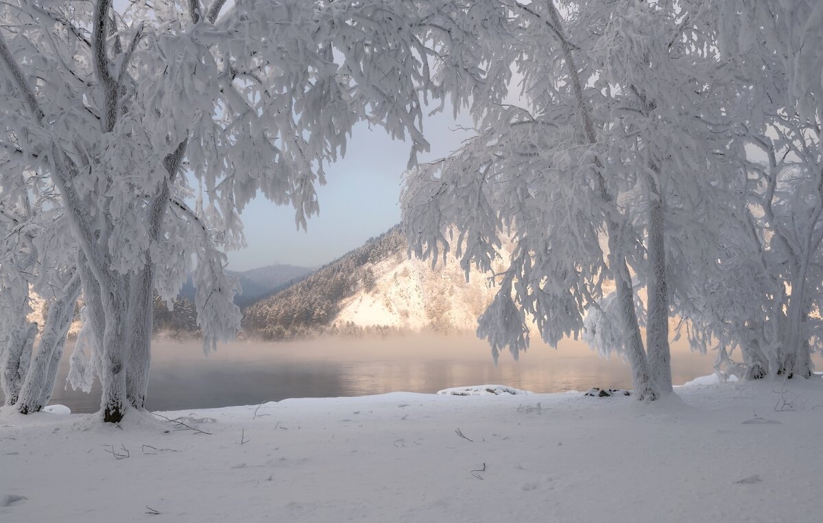 Зимняя природа - Марина Фомина.