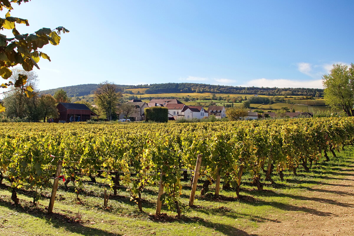 Бургундские просторы - Sergey Grim Бургундские просторы - Sergey Grim