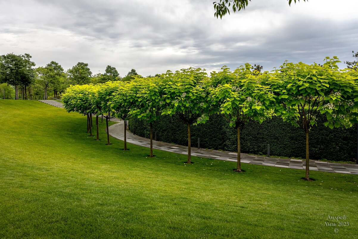 Парк Галицкого. Краснодар - Андрей Lyz Парк Галицкого. Краснодар - Андрей Lyz
