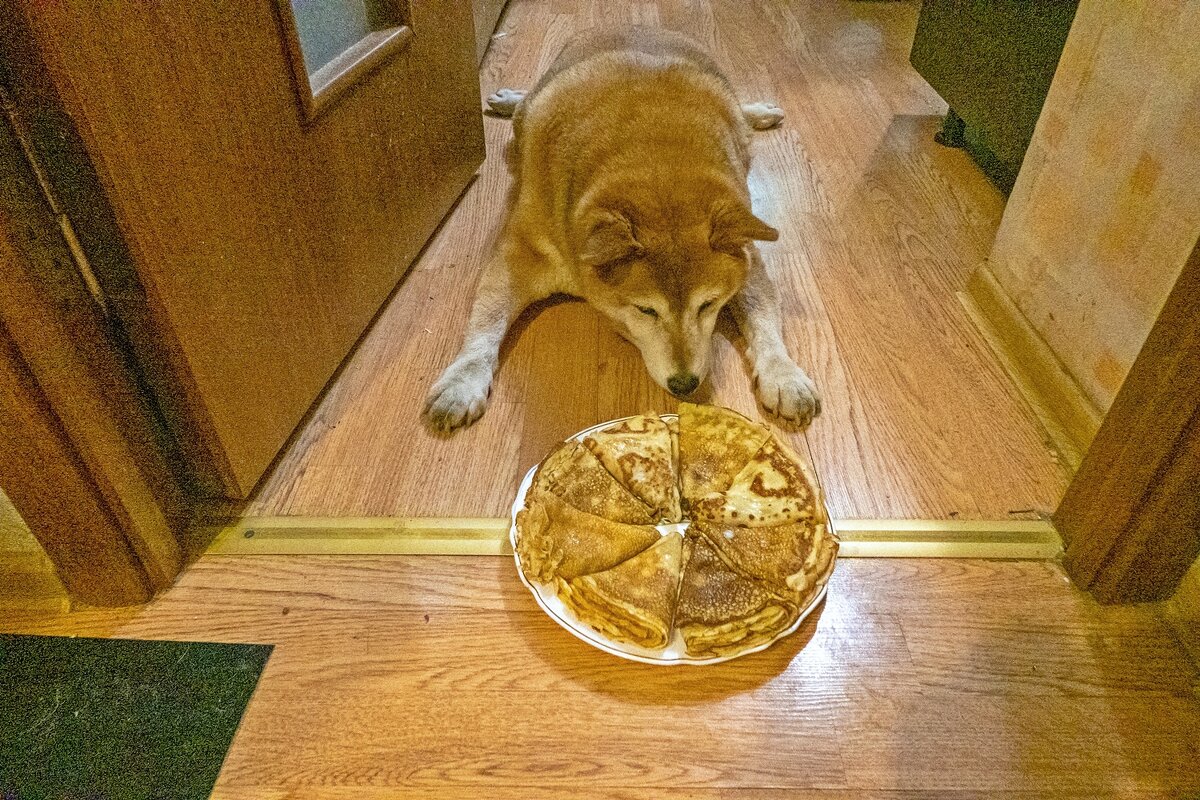 Масленица пришла - Валерий Иванович