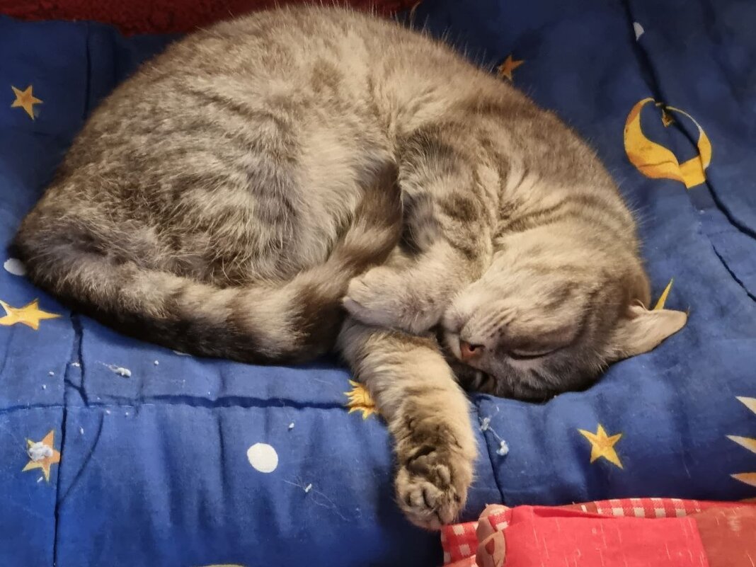 Сон в зимний день - Наталья Сон в зимний день - Наталья