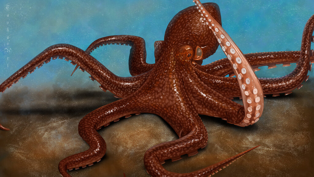 Осьминог - Наталия Львова