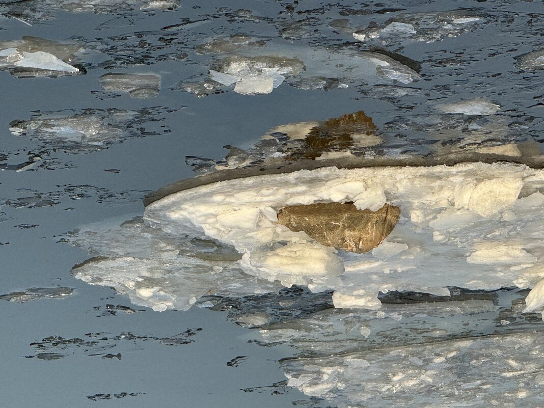 Пингвиновы острова - Анна Камс Пингвиновы острова - Анна Камс