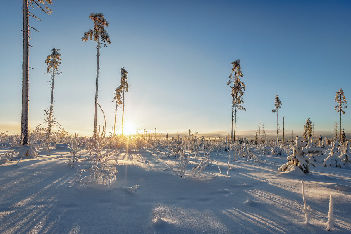 Зима - Владимир Колесников