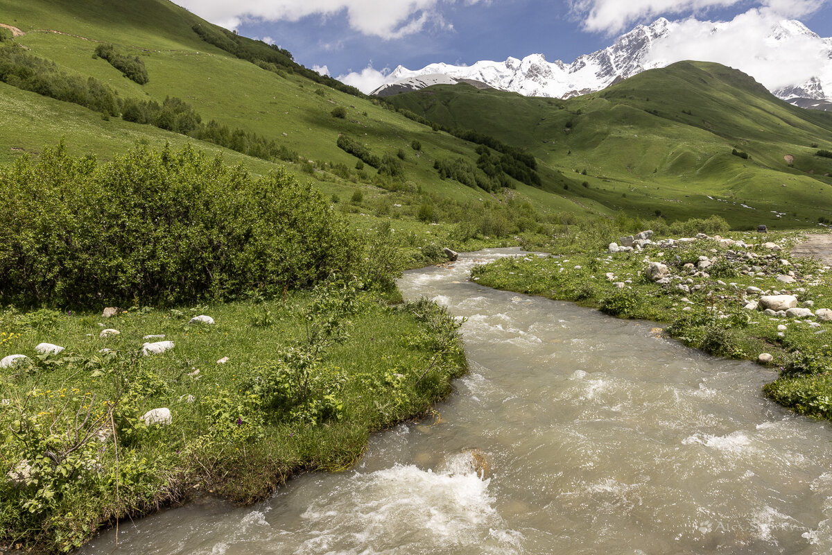 **** - Алексей Соловьев