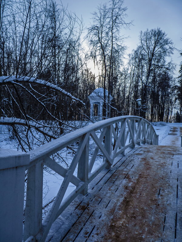 Февраль - Наталья Rosenwasser
