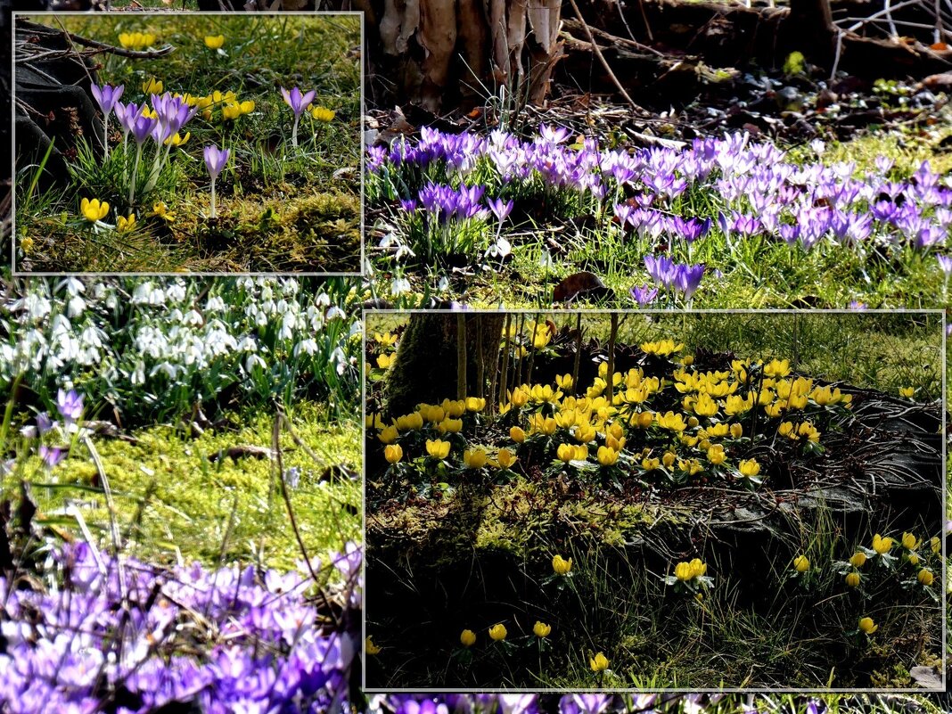 весенние коллажи - Heinz Thorns