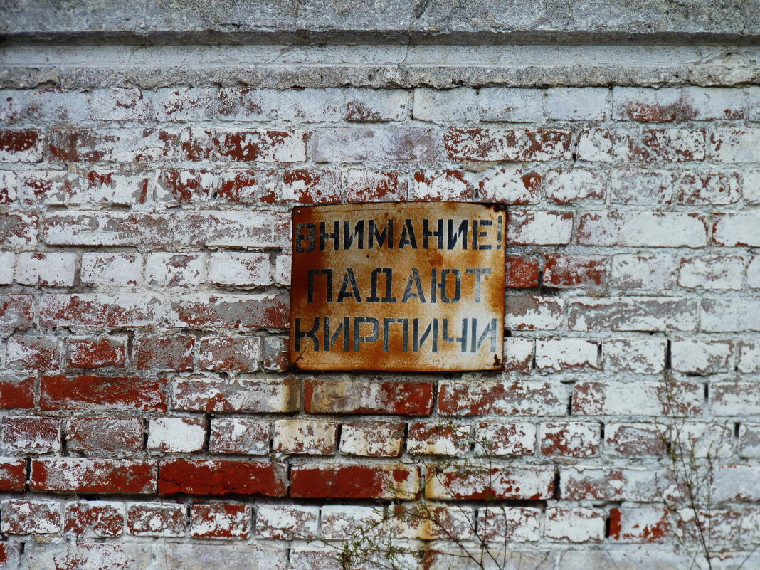 Уберечься от летающих кирпичей бывает сложно - Наталья Rosenwasser Уберечься от летающих кирпичей бывает сложно - Наталья Rosenwasser