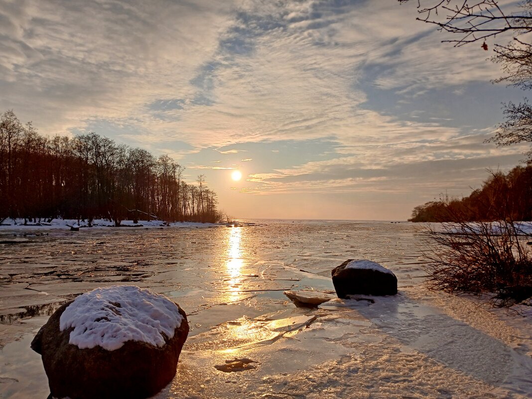 Чудесные деньки конца февраля! - Лия ☼