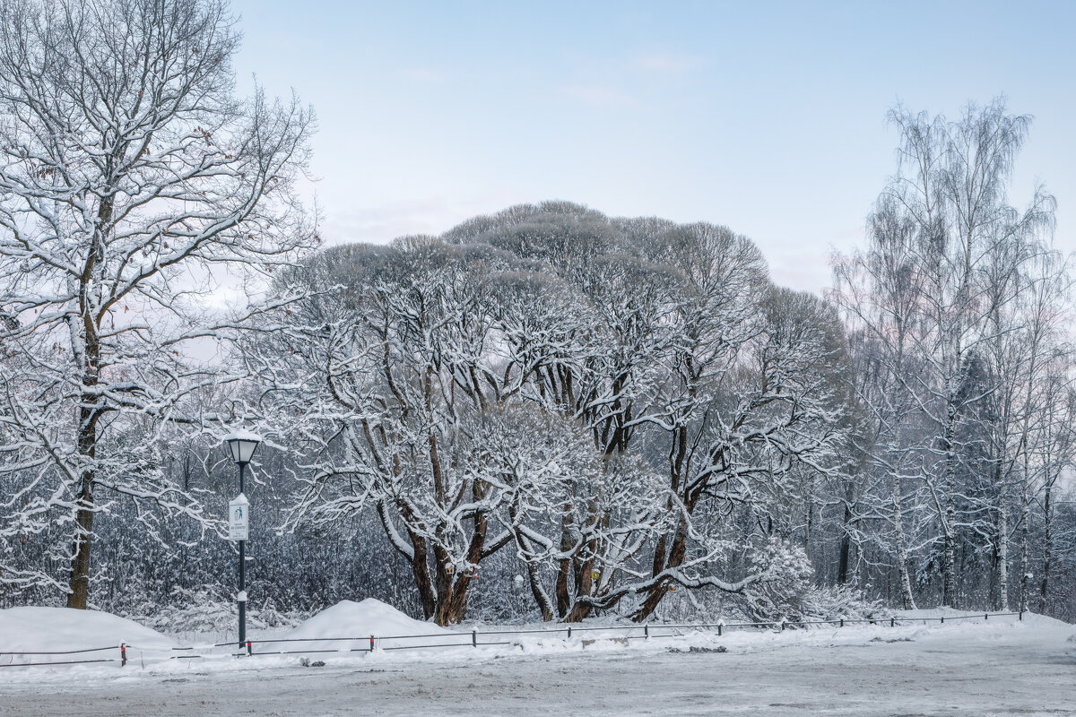 Зима - Владимир Колесников