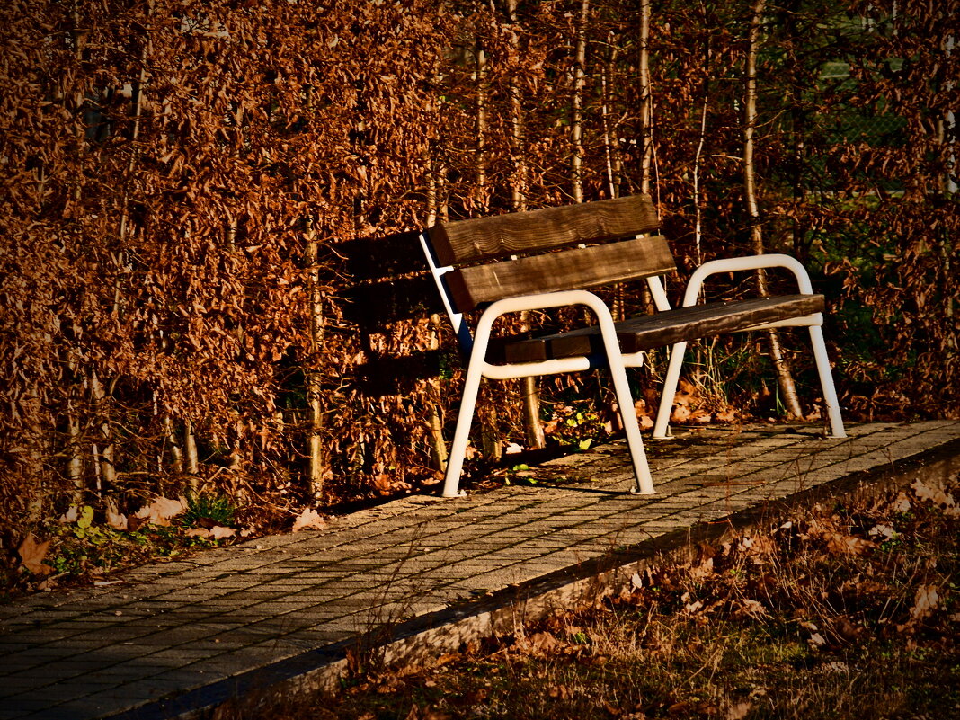 Фаинген 86 - Алексей Кузнецов