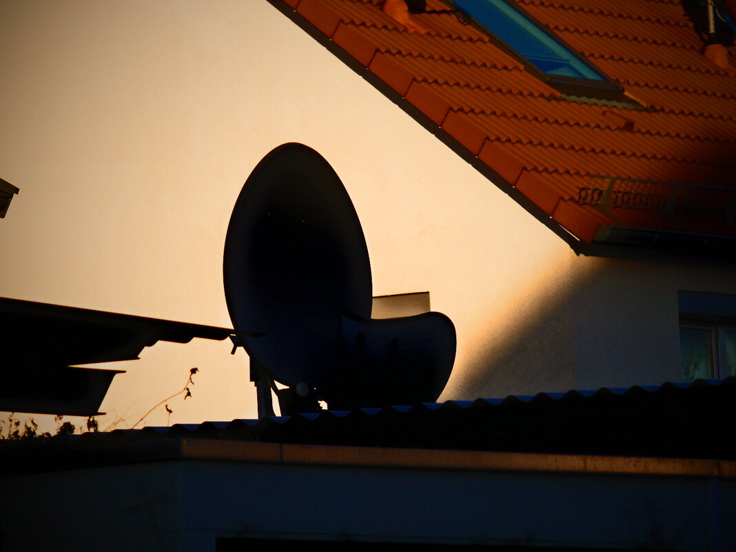 Фаинген 89 - Алексей Кузнецов