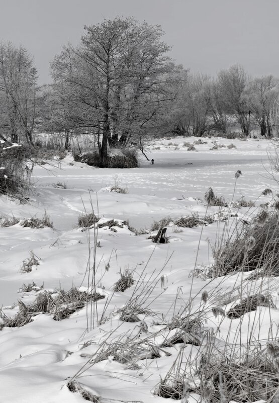 Февральская зарисовка - Сергей 