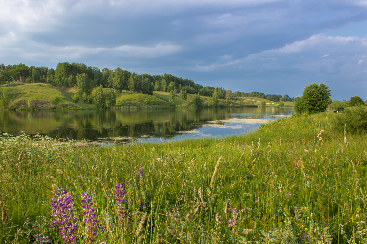 Телецкое озеро. - Дмитрий Кобзев