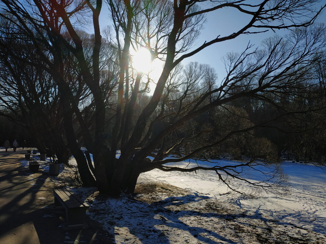 Провожая несостоявшуюся зиму - Андрей Лукьянов Провожая несостоявшуюся зиму - Андрей Лукьянов