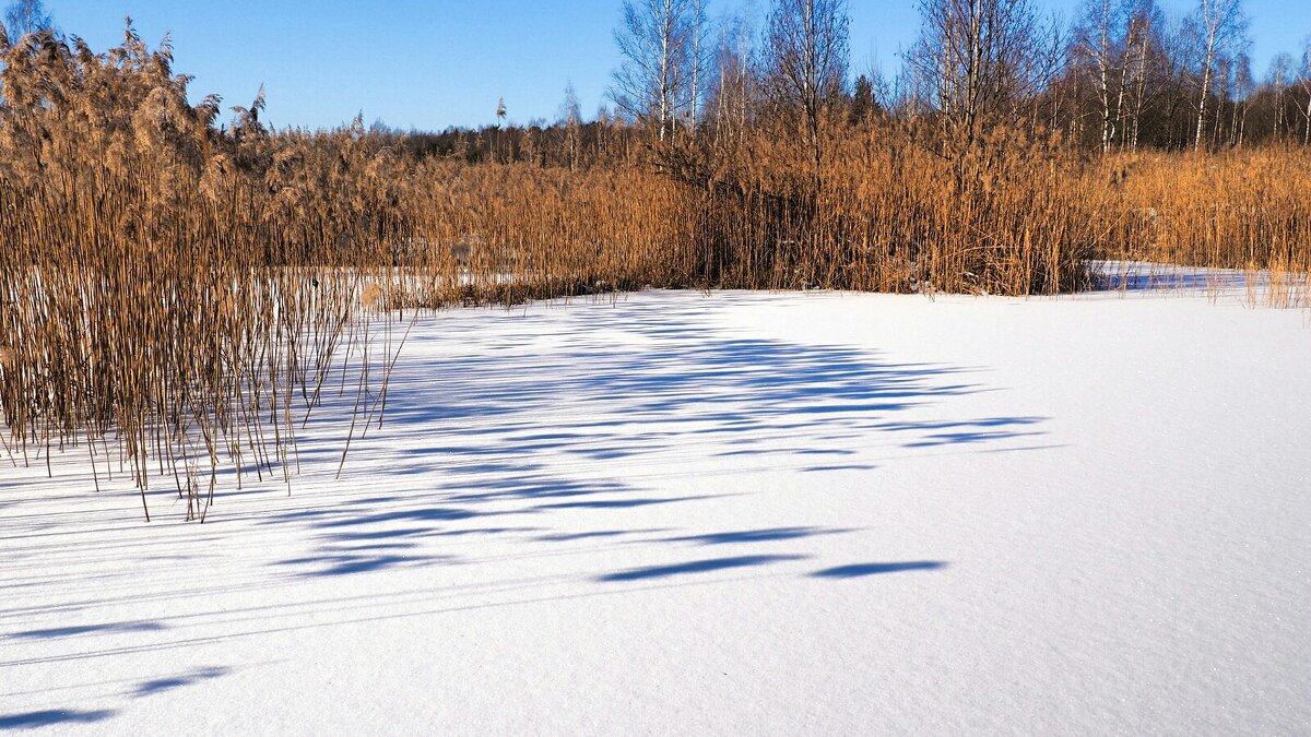 Свет и тени - Милешкин Владимир Алексеевич 