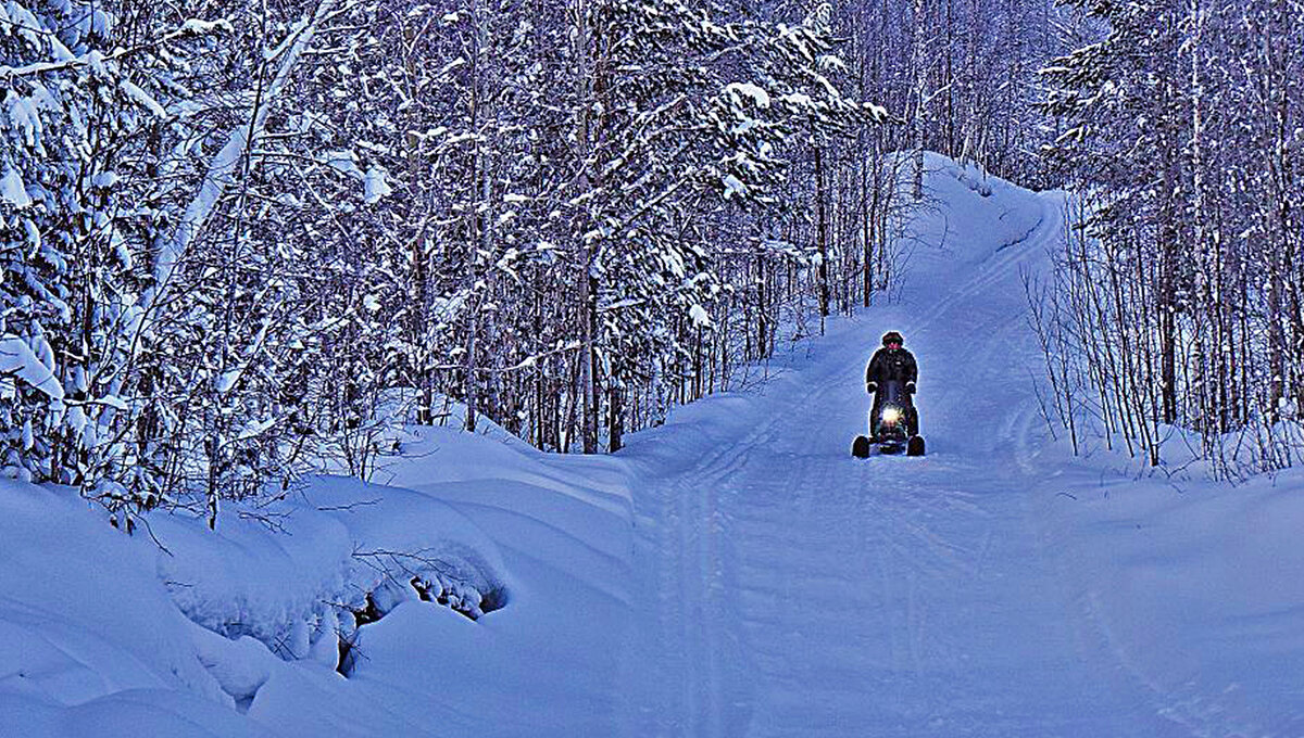 Январь...В тайге вечереет! - Владимир Январь...В тайге вечереет! - Владимир