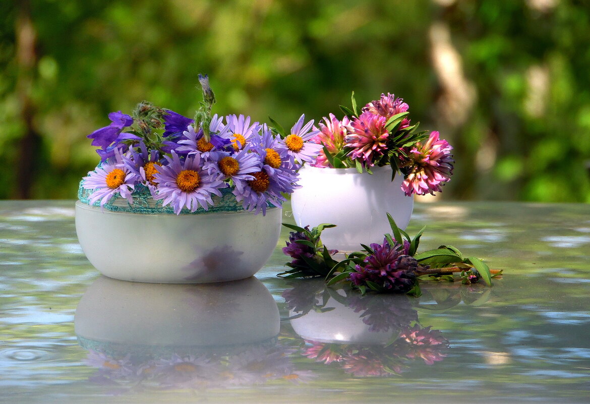 Полевые цветы. - nadyasilyuk Вознюк Полевые цветы. - nadyasilyuk Вознюк