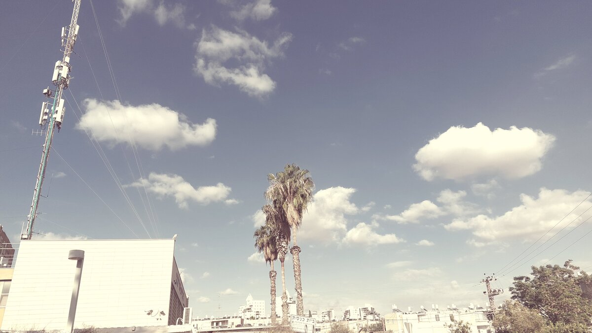 12  КЛОС (626) - CLOSE WAYS ALL