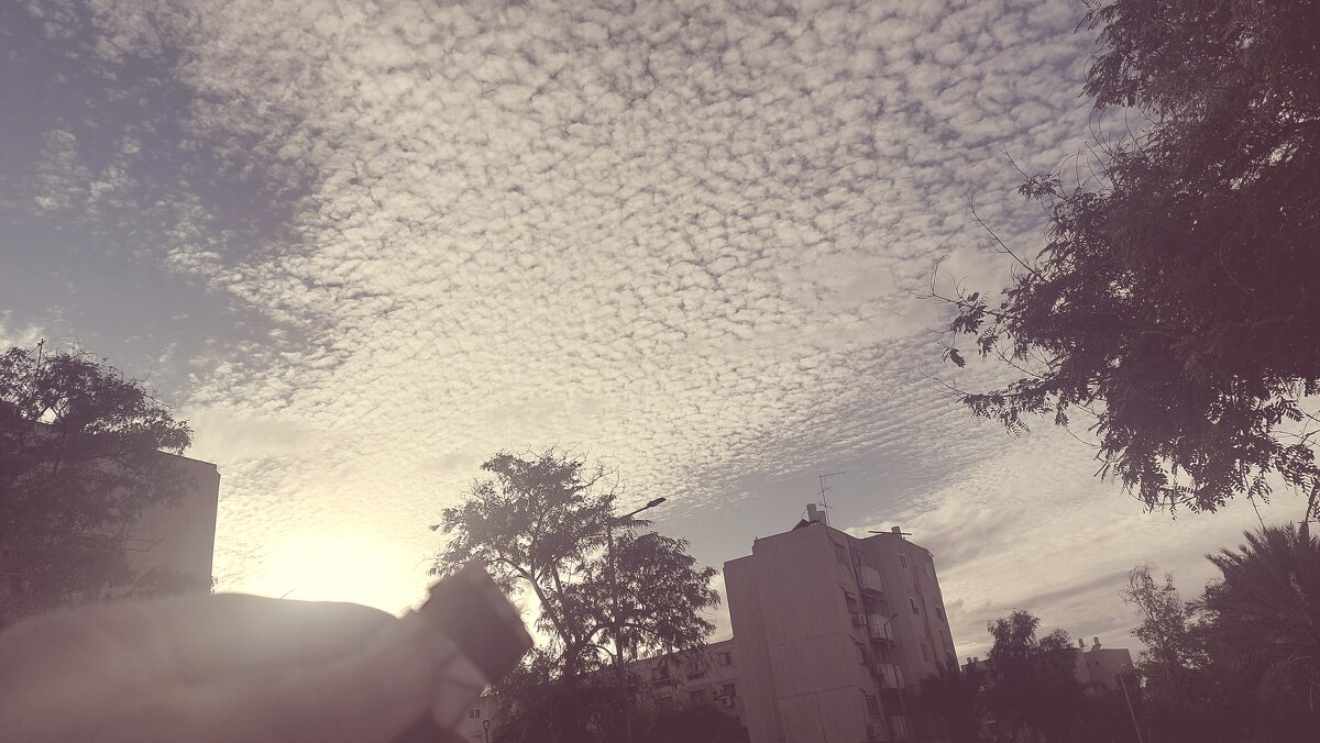 12  КЛОС (630) - CLOSE WAYS ALL