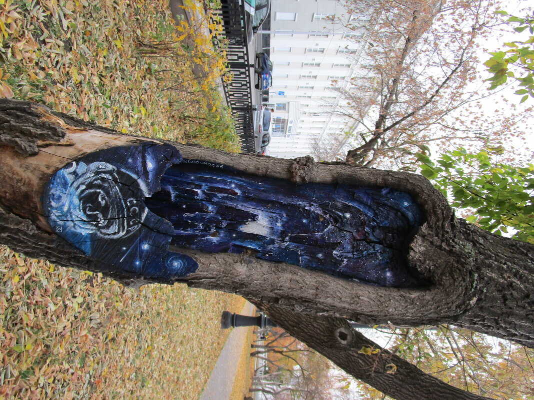 ПРО Екатеринбург - Елена Шаламова ПРО Екатеринбург - Елена Шаламова