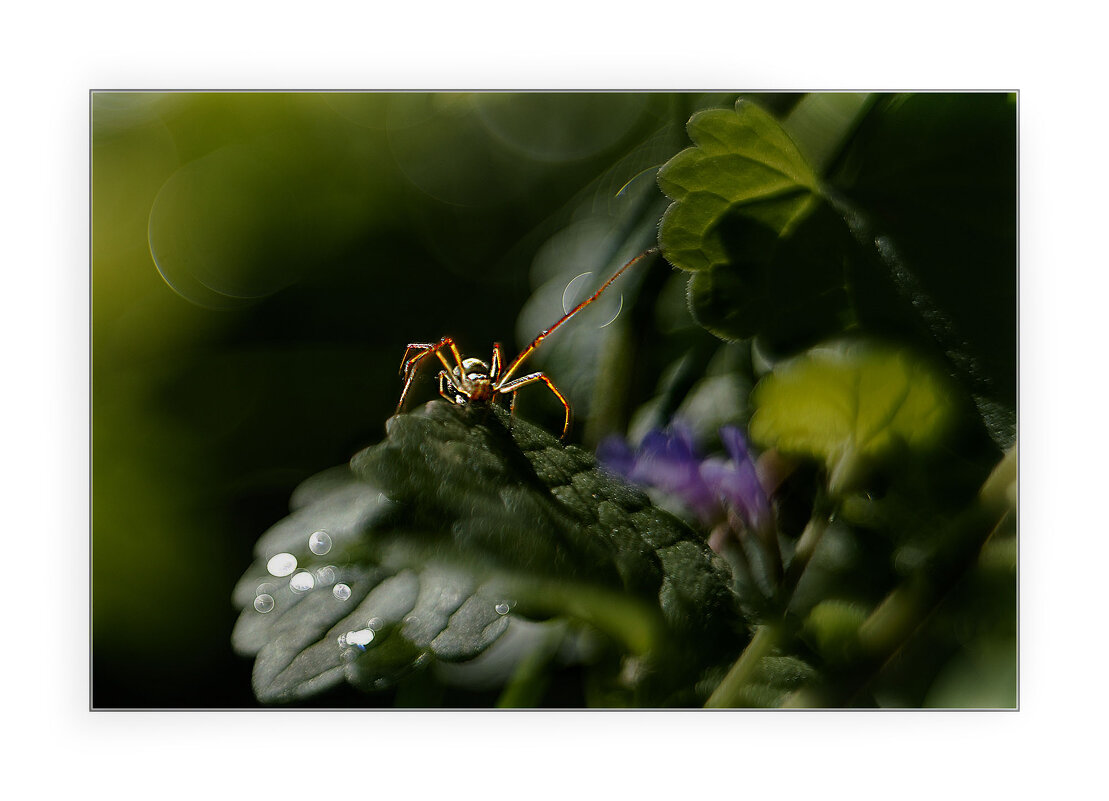 *** - Art __ *** - Art __