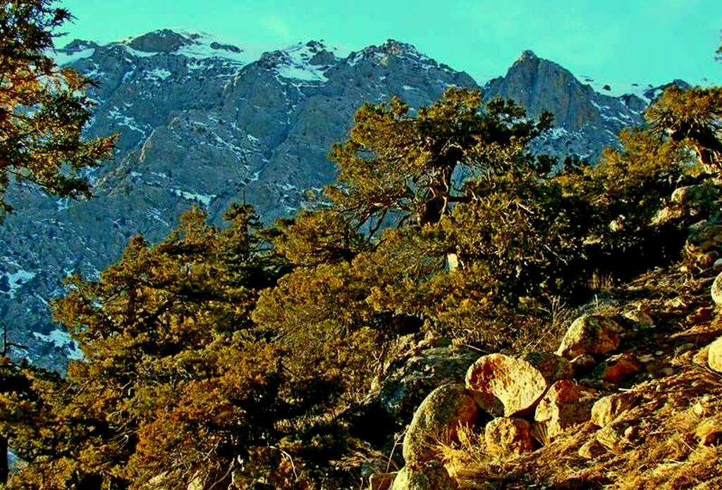 ГОРНАЯ ПРОГУЛКА. - Виктор Осипчук