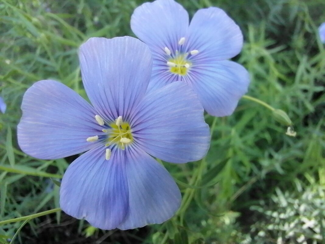 ,,, - Сергей Тимоновский ,,, - Сергей Тимоновский