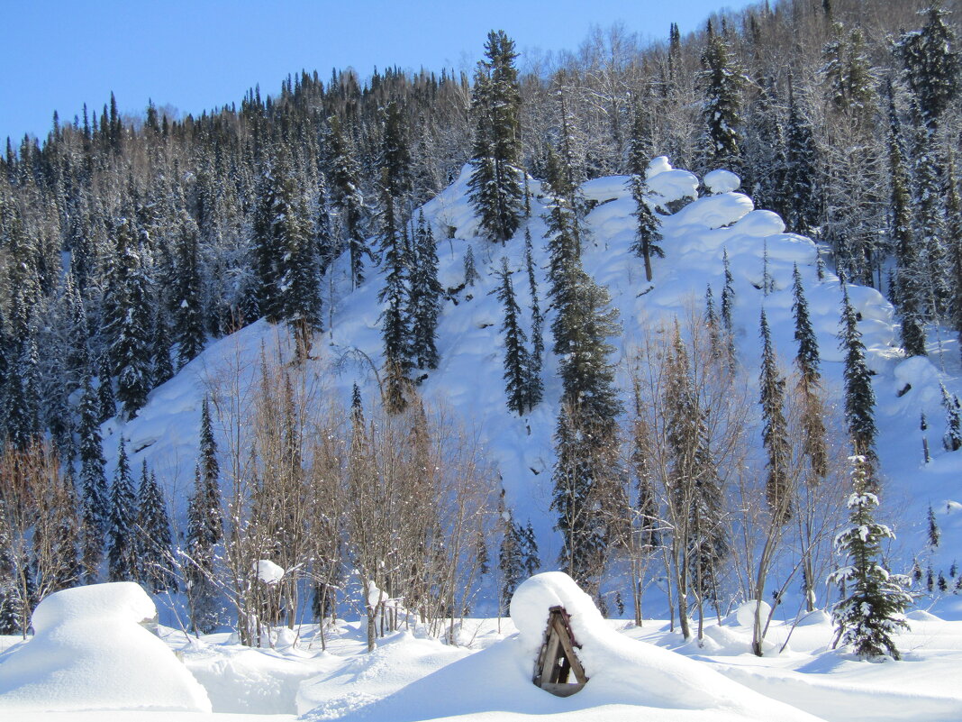 * - Galaelina *** * - Galaelina ***