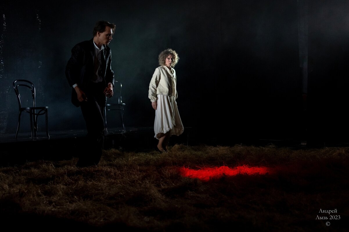 «Чайка» Московский театр «Школа драматического искусства» - Андрей Lyz «Чайка» Московский театр «Школа драматического искусства» - Андрей Lyz