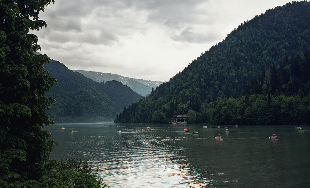 Рица - Лилия . Рица - Лилия .