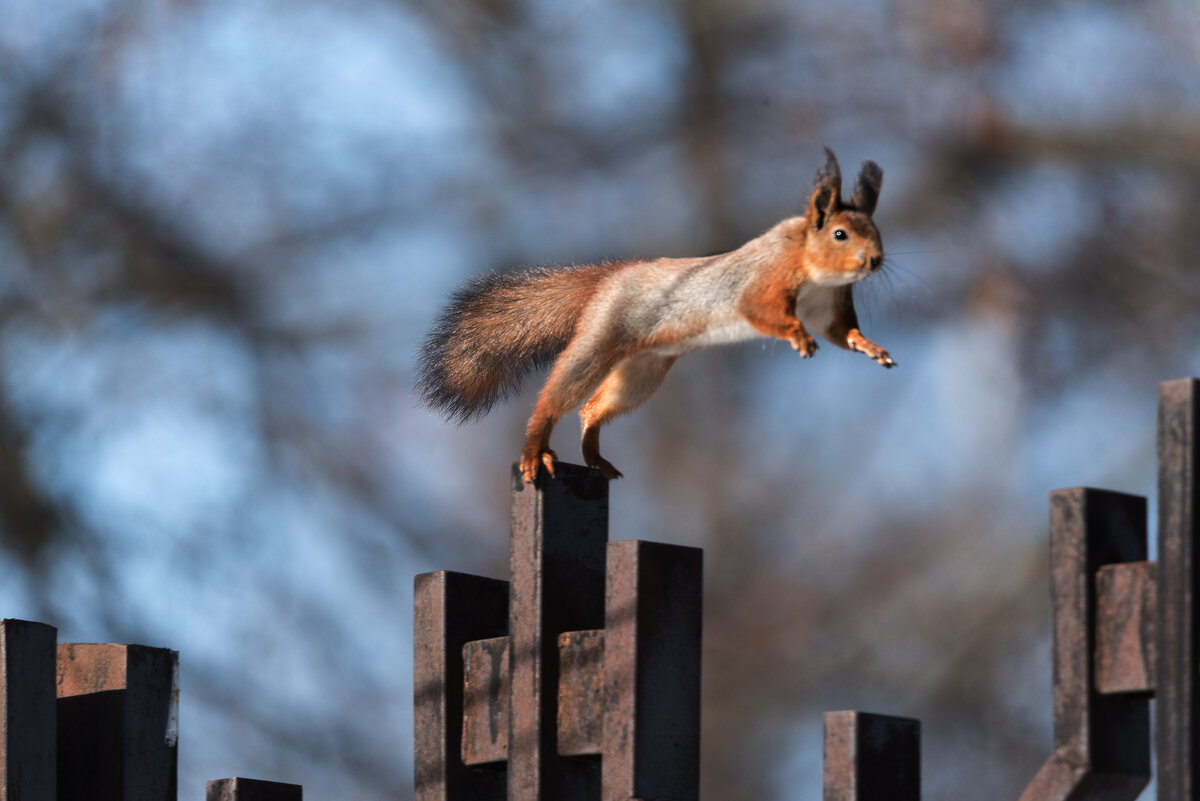 *** - Владимир Безбородов *** - Владимир Безбородов