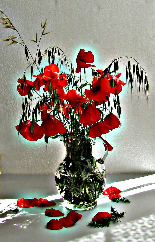 натюрморт - ivana 