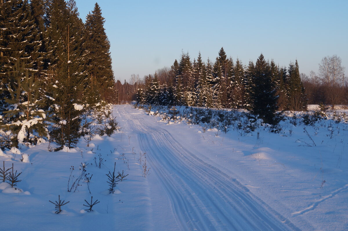 ... - Сергей Ц ... - Сергей Ц