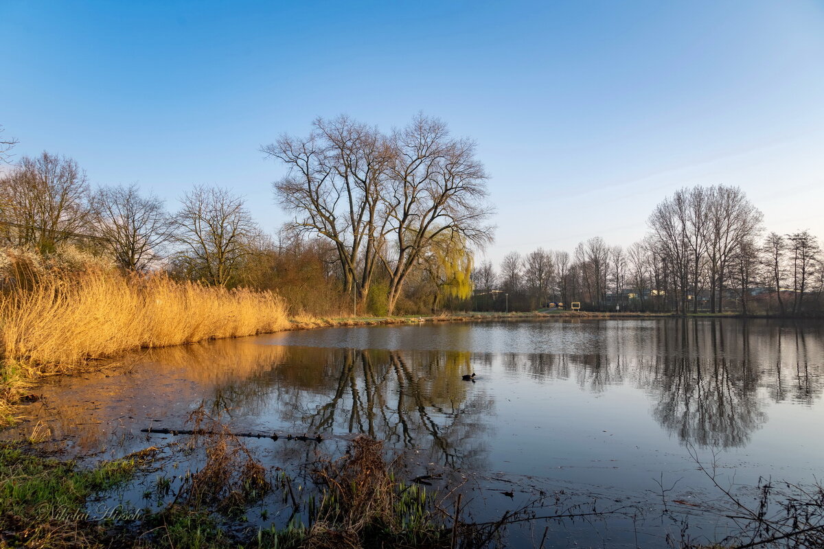 Солнечным утром... - Николай Гирш Солнечным утром... - Николай Гирш