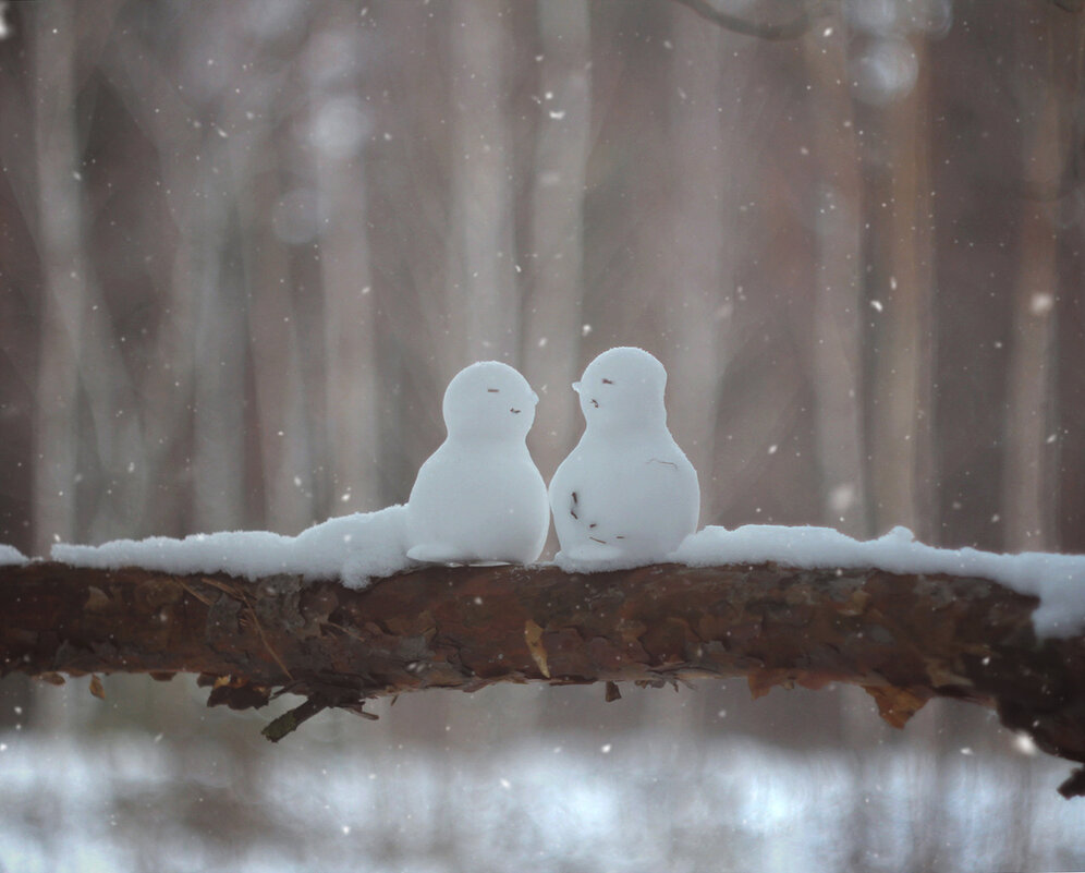 *** - Лера *** - Лера