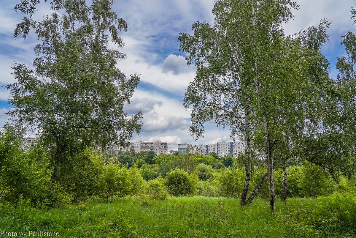 Палитра июня... - Владимир Жданов Палитра июня... - Владимир Жданов