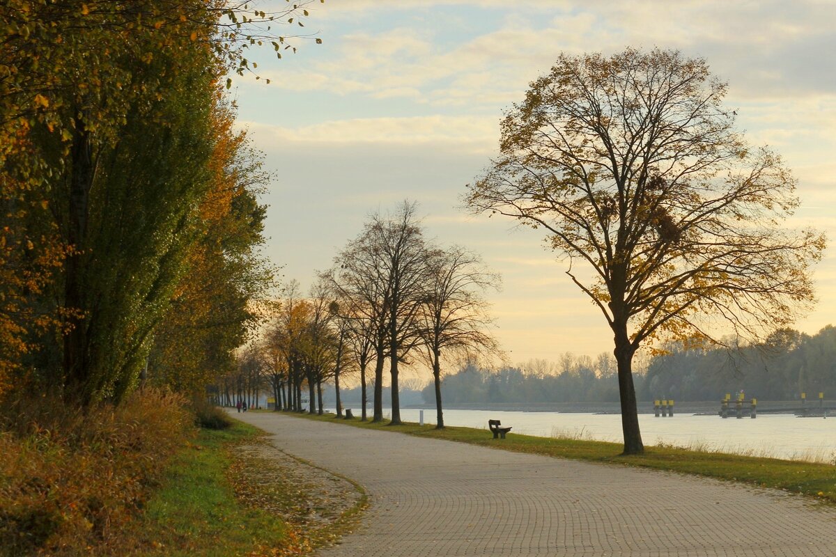 Осенний вечер - Юрий. Шмаков